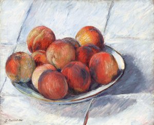 Balıkçılık plakası, c. 1882. by Gustave Caillebotte