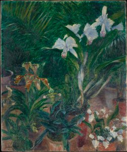 Petit Gennevilliers serasındaki orkideler, 1893. by Gustave Caillebotte