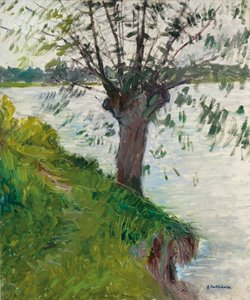 Nehir kenarındaki söğüt; Saule au bord de la riviere, c. 1891 by Gustave Caillebotte
