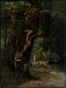 Ormandaki Geyik by Gustave Courbet
