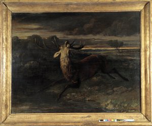 Geyiğin suyu var (koşarak avlanıyor) diyor geyik kuvveti (tuval üzerine yağlı boya) by Gustave Courbet
