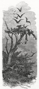 Bir Kelt Gökyüzü Cenazesi, 1866 by Gustave Dore