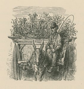 Bitkiler ve çiçeklerle dolu bir arabayı kullanan bir adam by Gustave Dore
