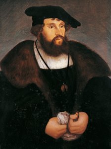 Danimarka Kralı II. Christian, Danimarka Kralı, Norveç ve İsveç