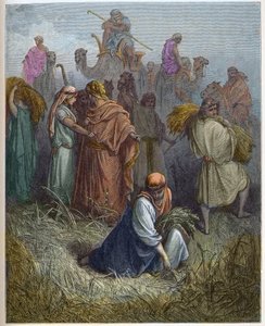 Ruth ve Boaz (Booz) - Ruth, Boaz (Boaz) (Ruth ve Boaz) tarlalarında çalışıyor - - Gustave Dore (1832-1883) tarafından yazılan “The Bible illustree” gravürü - “” The Dore Bible” dan gravür by Gustave Dore