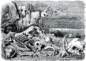  by Gustave Dore