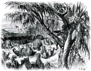  by Gustave Dore