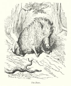 Yaban Domuzu (gravür) by Gustave Dore