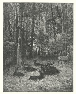  by Gustave Dore