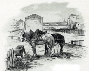 Nakliye atları, quai de la Gironde, Villette (canal saint-denis, quai de la gironde, Villette Paris'teki tekneleri çekmek için kullanılan atlar) Saint-Juirs'tan Gustave Fraipont (1849-1923) tarafından çizim by Gustave Fraipont