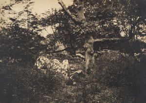 Fontainebleau