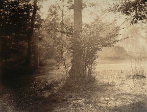 Ağaç Çalışması, Fontainebleau Ormanı, yak. 1856. by Gustave Le Gray