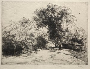 Yürüyüş Yolu.