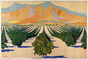 'Güney Afrika'dan Yaz Portakalları' serisinden Güney Afrika Portakal Bahçeleri (renkli litho) by Guy Kortright