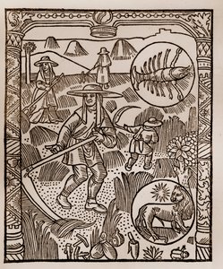 Çoban takvimi - Ayların Emekleri - Temmuz - Guy Marchant (Guido Mercator) tarafından Troyes