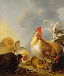 Bir Çiftlik Tavuğu Grubu, 1643 by Gysbert Hondecoeter