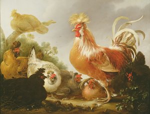 Bir manzarada horoz ve tavuklar, 1649 by Gysbert Hondecoeter