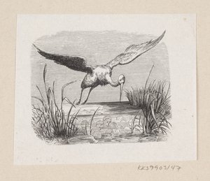 H.C.
