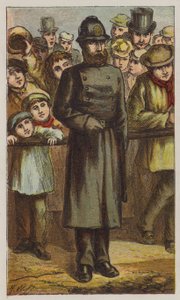 Polis (renkli taş) by H.W. (after) Petherick