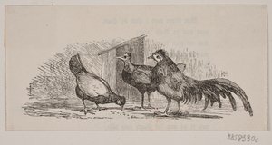 üç tavuk by H. C. Henneberg