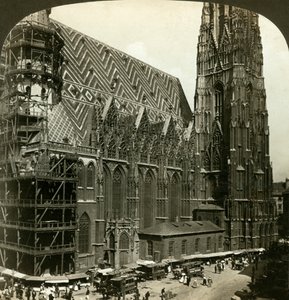 St Stephen Stephansdom Katedrali, Viyana, Avusturya.
