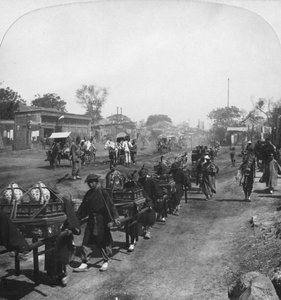 Çin cenaze alayı, ayrılan ruh için yiyecek taşıyan, Pekin Pekin, Çin, 1901
