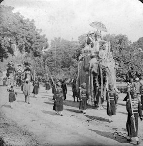 Lord ve Lady Harding bir file binerken, Hindistan, 1913.