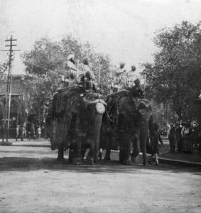 Bir alayda file binen bir Pencap prensesi, Delhi, Hindistan, 1900