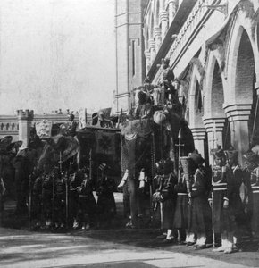 Vali fili, Delhi, Hindistan, 1900