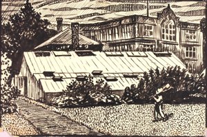  by H. Lyman Sayen