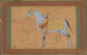 Bir Aygır, yaklaşık 1601-6. by Habiballah of Sava