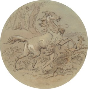 Venüs ve Adonis'i gösteren bir dizi plaka için on sekiz tasarımdan biri by Hablot Knight Browne