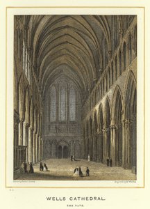 Wells Katedrali, nef by Hablot Knight Browne