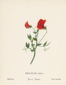  by Hannah Zeller