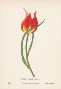  by Hannah Zeller