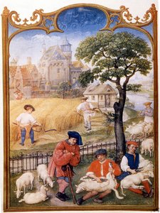 Tarla çalışması, koyunları kırkıyor ve köylüler buğday biçiyor. Küçük resim Memling