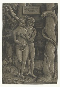 Adam Lapsvs Hvmani Generis'in Cennet Düşüşünde Adem ve Havva'nın Baştan Çıkarılması (nesnedeki başlık) by Hans Baldung Grien