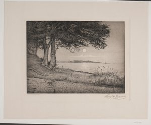 Vejle fiyordu by Hans Christian Gether Caspersen