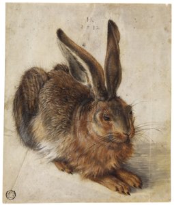  by Hans Hoffmann