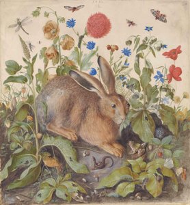  by Hans Hoffmann