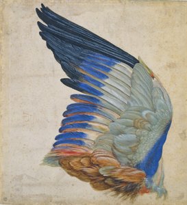 Blue Roller
