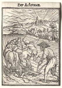Ölüm Dansı: Pullukçu by Hans Holbein