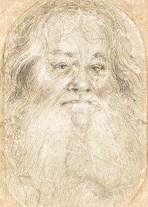 Sakallı Bir Adamın Çalışması [verso] by Hans Holbein the Elder