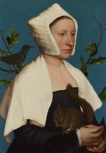 Sincap ve Starling Anne Lovell