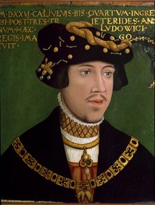 Macaristan Kralı II. Louis'in Portresi (Louis Jagellon)