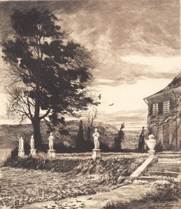 "Vahşi Uçan Şahin"