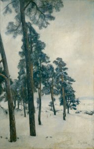 Bogstad gölünden by Hans Olaf Heyerdahl