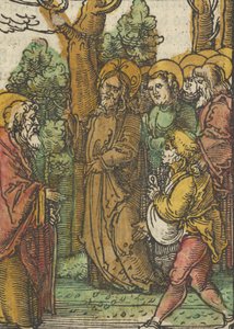 Das Plenarium, 1517