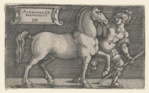 Büyük İskender Bucephalus, c.1531-1550 (gravür) by Hans Sebald Beham
