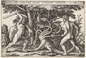 Hydra